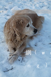 網(wǎng)貸起訴告知函模板（網(wǎng)貸起訴告知函）