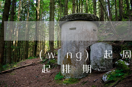 網(wǎng)貸起訴周期（網(wǎng)貸起訴排訴期）