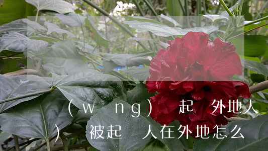 網(wǎng)貸起訴外地人(網(wǎng)貸被起訴人在外地怎么辦)