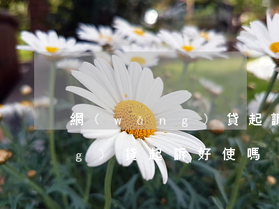 網(wǎng)貸起訴好使嗎-網(wǎng)貸起訴好使嗎