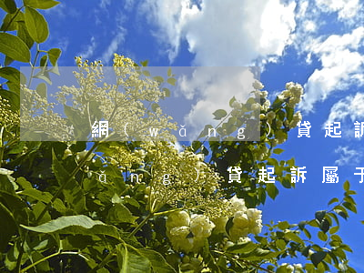 網(wǎng)貸起訴屬于哪類糾紛(網(wǎng)貸起訴屬于哪類糾紛行為)