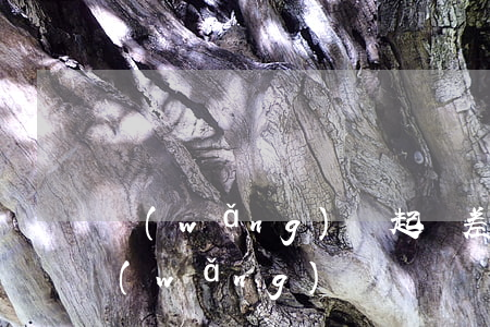 網(wǎng)貸起訴差旅費(fèi)(網(wǎng)貸訴訟費(fèi)用誰(shuí)承擔(dān))
