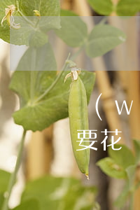 網(wǎng)貸起訴平臺(tái)自己要花錢(網(wǎng)貸起訴需要付對(duì)方的律師費(fèi)么)