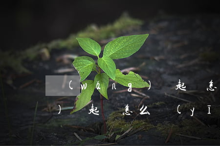 網(wǎng)貸起訴怎么寫(網(wǎng)貸起訴怎么應(yīng)訴)