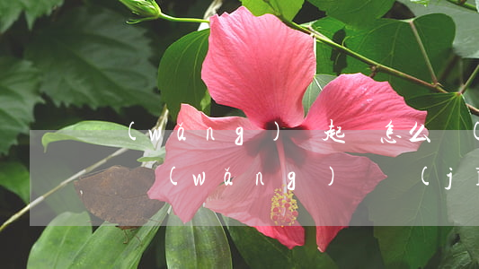 網(wǎng)貸起訴怎么應(yīng)訴（網(wǎng)貸經(jīng)濟(jì)糾紛起訴流程）
