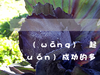 網(wǎng)貸起訴怎么申請管轄權(quán)成功的多嗎-網(wǎng)貸被起訴管轄權(quán)