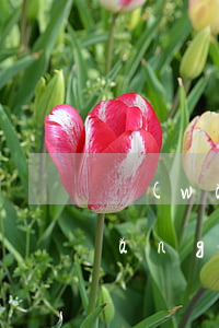 網(wǎng)貸起訴怎么解釋用途(網(wǎng)貸起訴有用嗎)