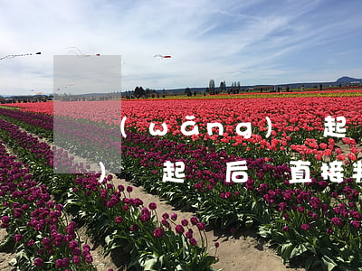 網(wǎng)貸起訴成功后(網(wǎng)貸起訴后會直接判決嗎)
