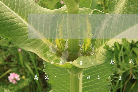網(wǎng)貸起訴我后能協(xié)商么-網(wǎng)貸被起訴還能協(xié)商嗎