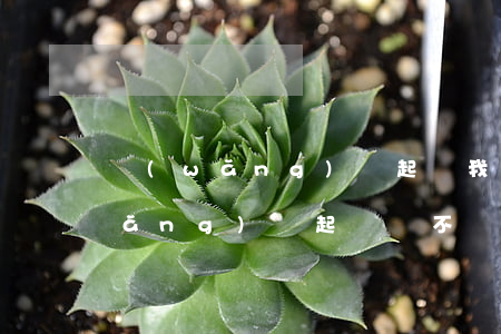 網(wǎng)貸起訴我征信會黑嗎(網(wǎng)貸起訴會不會有案底)