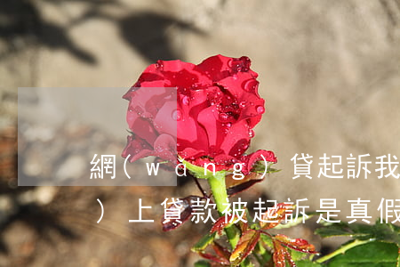 網(wǎng)貸起訴我真假(網(wǎng)上貸款被起訴是真假)