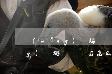 網(wǎng)貸起訴敗訴后-網(wǎng)貸起訴敗訴后怎么處理