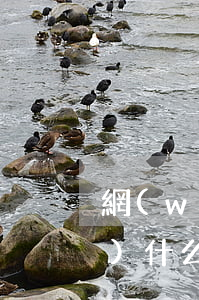網(wǎng)貸起訴敗訴要承擔(dān)什么后果 網(wǎng)貸被起訴敗訴后用掏什么費(fèi)用嗎