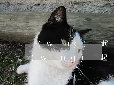 網(wǎng)貸起訴新規(guī)定(網(wǎng)貸起訴流程和費(fèi)用)