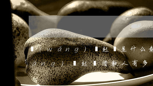 網(wǎng)貸起訴是什么意思-網(wǎng)貸起訴借款人有多復(fù)雜?看完再也不擔(dān)心被起訴了
