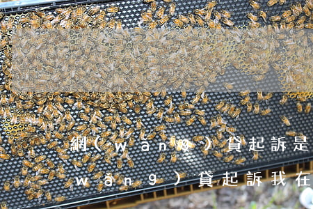 網(wǎng)貸起訴是在哪方法院-網(wǎng)貸起訴我在哪個法院