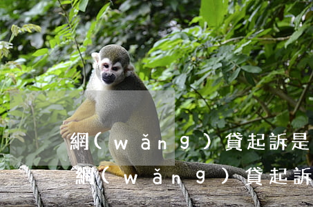 網(wǎng)貸起訴是發(fā)短信嗎(網(wǎng)貸起訴會短信通知嗎)