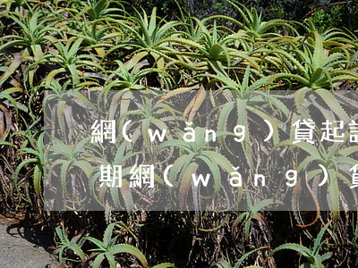 網(wǎng)貸起訴時(shí)間有效期（網(wǎng)貸起訴時(shí)間有效期）