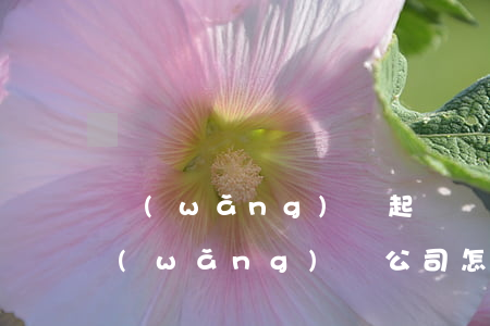 網(wǎng)貸起訴書怎么寫(我想起訴網(wǎng)貸公司怎么起訴)