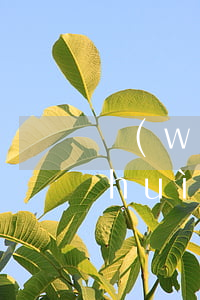 網(wǎng)貸起訴會(huì)不會(huì)強(qiáng)制執(zhí)行（網(wǎng)貸起訴被執(zhí)行對(duì)家人有影響嗎）