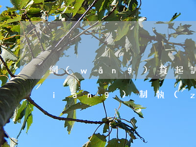 網(wǎng)貸起訴會(huì)強(qiáng)制執(zhí)行嗎（網(wǎng)貸起訴會(huì)強(qiáng)制執(zhí)行嗎）