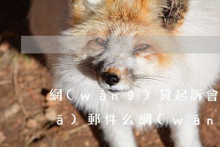 網(wǎng)貸起訴會(huì)發(fā)郵件么(網(wǎng)貸起訴會(huì)發(fā)短信嗎)