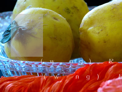 網(wǎng)貸起訴會發(fā)短信嗎（網(wǎng)貸起訴是掛號信嗎）