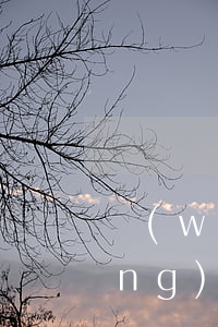 網(wǎng)貸起訴未收到傳票(網(wǎng)貸起訴未收到傳票)