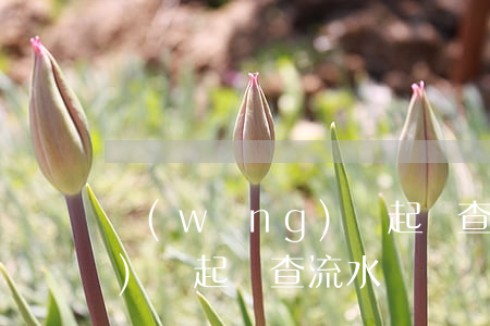 網(wǎng)貸起訴查流水(網(wǎng)貸起訴查流水)