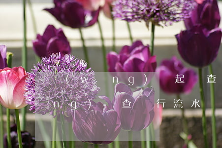 網(wǎng)貸起訴查銀行流水(網(wǎng)貸查銀行流水嗎)