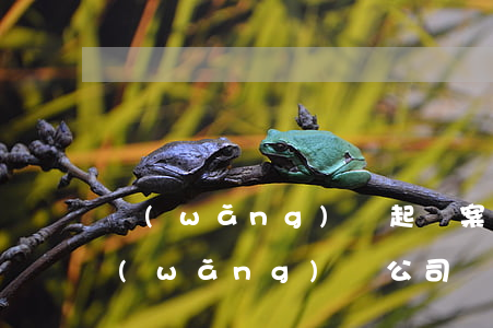 網(wǎng)貸起訴案件號(hào)(網(wǎng)貸公司發(fā)的案號(hào)是真的嗎)