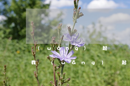 網(wǎng)貸起訴沒(méi)人通知我 網(wǎng)貸起訴沒(méi)人通知我怎么處理