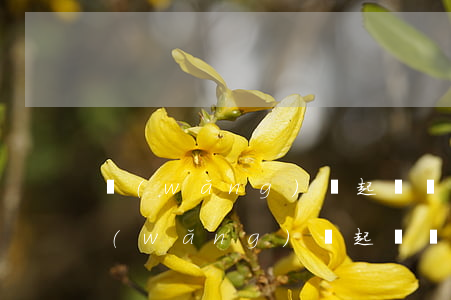 網(wǎng)貸起訴沒(méi)出庭(網(wǎng)貸起訴沒(méi)出庭會(huì)怎么樣)