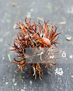 網(wǎng)貸起訴沒事吧(網(wǎng)貸起訴有用嗎)