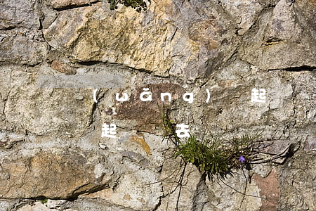 網(wǎng)貸起訴沒去(網(wǎng)貸起訴沒去)