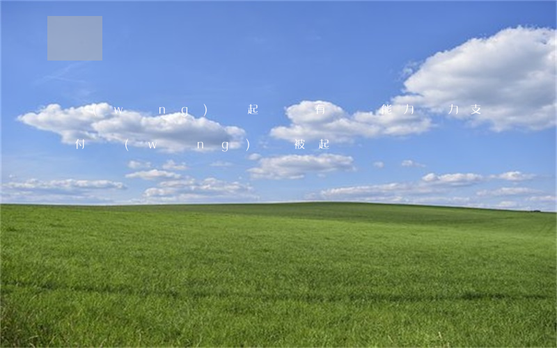 網(wǎng)貸起訴沒有償還能力（無力支付網(wǎng)貸被起訴）