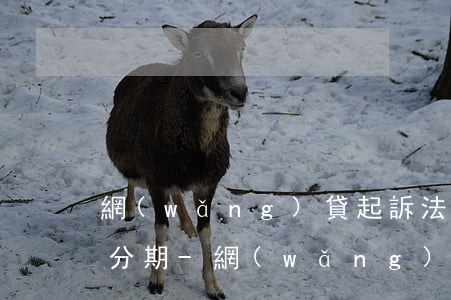 網(wǎng)貸起訴法院協(xié)商分期-網(wǎng)貸起訴法院協(xié)商分期有用嗎