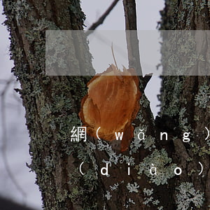 網(wǎng)貸起訴法院會(huì)調(diào)解嗎 網(wǎng)貸起訴法院會(huì)調(diào)解嗎知乎