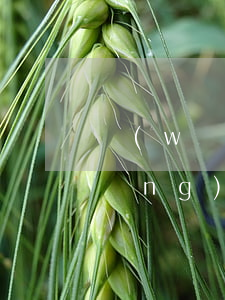 網(wǎng)貸起訴流程一般多長(zhǎng)時(shí)間