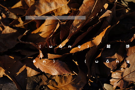 網(wǎng)貸起訴涉及哪些法律問(wèn)題（網(wǎng)貸起訴涉及哪些法律）