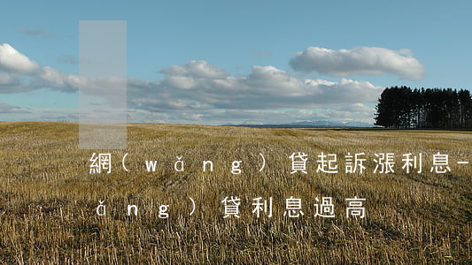 網(wǎng)貸起訴漲利息-起訴網(wǎng)貸利息過高