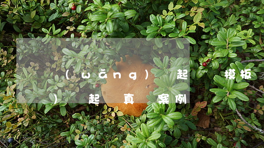 網(wǎng)貸起訴狀模板(網(wǎng)貸起訴真實案例)