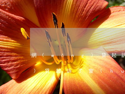 網(wǎng)貸起訴的好處(網(wǎng)貸起訴了會(huì)怎么樣)