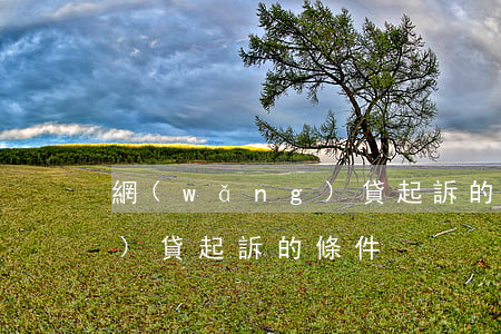 網(wǎng)貸起訴的條件(網(wǎng)貸起訴的條件)