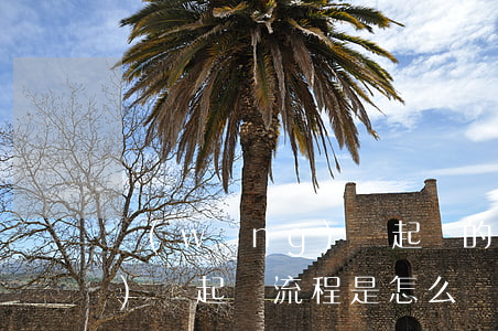 網(wǎng)貸起訴的流程(網(wǎng)貸起訴流程是怎么樣的,需要多久)
