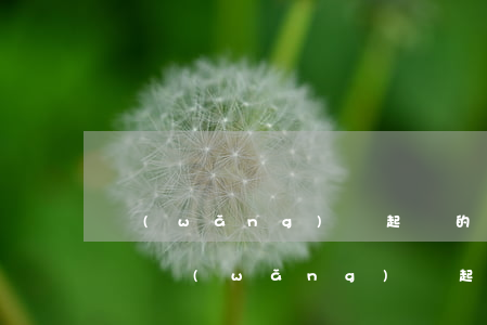 網(wǎng)貸起訴的訴訟時(shí)間(網(wǎng)貸起訴時(shí)間和立案時(shí)間)