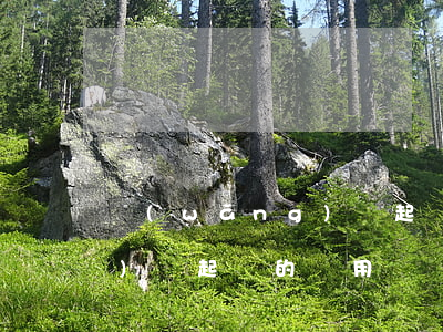 網(wǎng)貸起訴的費用 網(wǎng)貸起訴的費用