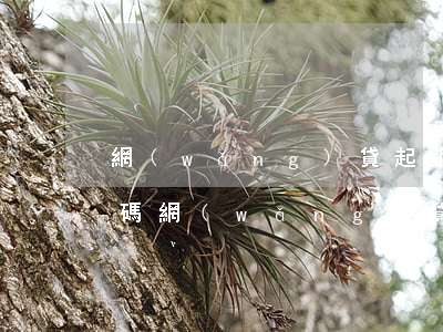 網(wǎng)貸起訴立案驗(yàn)證碼(網(wǎng)貸起訴立案驗(yàn)證碼)