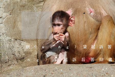 網(wǎng)貸起訴答辯狀模板(網(wǎng)貸起訴后答辯書怎么寫)