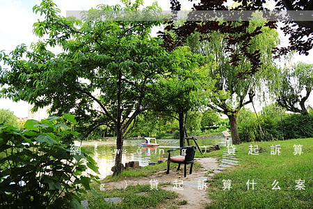 網(wǎng)貸起訴算什么案件(網(wǎng)貸起訴算什么案件啊)